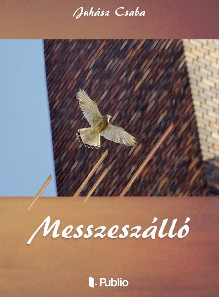 MESSZESZÁLLÓ (ekönyv)