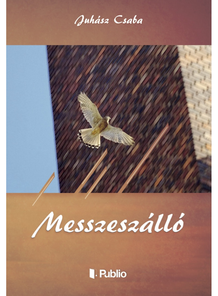 MESSZESZÁLLÓ (ekönyv)