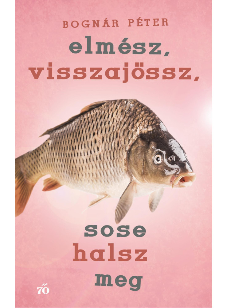 ELMÉSZ, VISSZAJÖSSZ, SOSE HALSZ MEG ELMÉSZ, VISSZAJÖSSZ, SOSE HALSZ MEG
