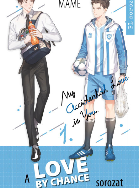 LOVE BY CHANCE - MY ACCIDENTAL LOVE IS YOU 1.
