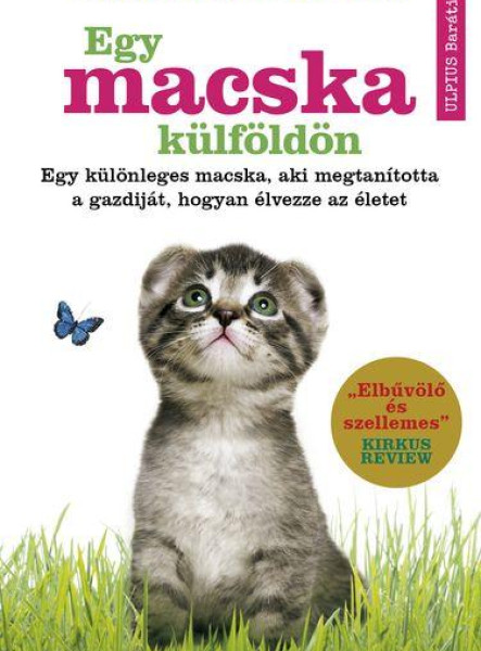 EGY MACSKA KÜLFÖLDÖN
