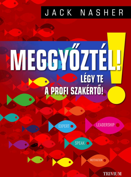 MEGGYŐZTÉL