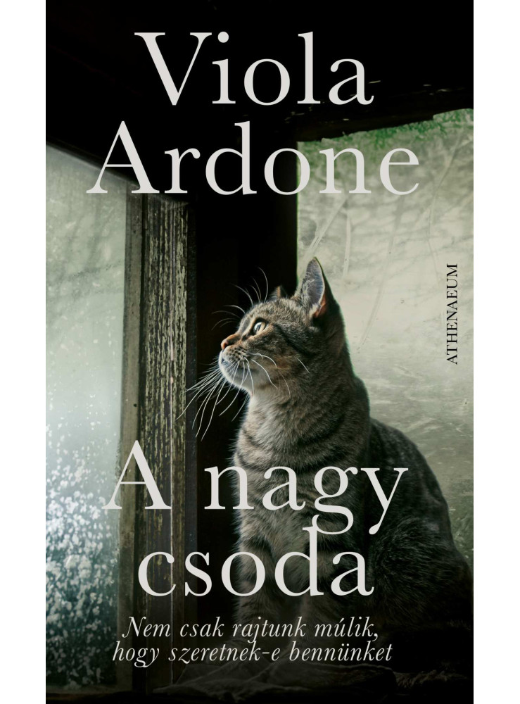 A NAGY CSODA A NAGY CSODA