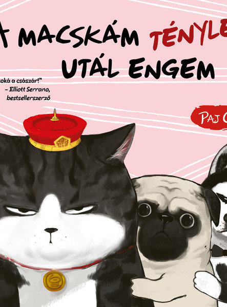 A MACSKÁM TÉNYLEG UTÁL ENGEM (MACSKA ÉS KUTYA 2.)