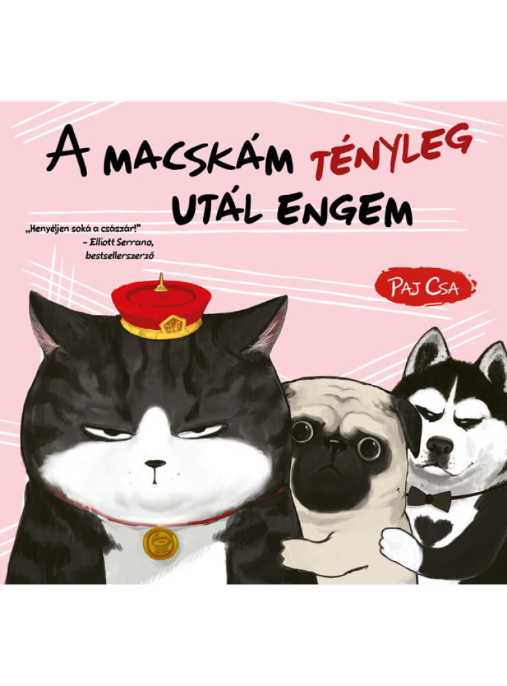 A MACSKÁM TÉNYLEG UTÁL ENGEM (MACSKA ÉS KUTYA 2.) A MACSKÁM TÉNYLEG UTÁL ENGEM (MACSKA ÉS KUTYA 2.)