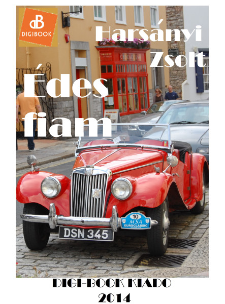 Édes fiam (ekönyv)