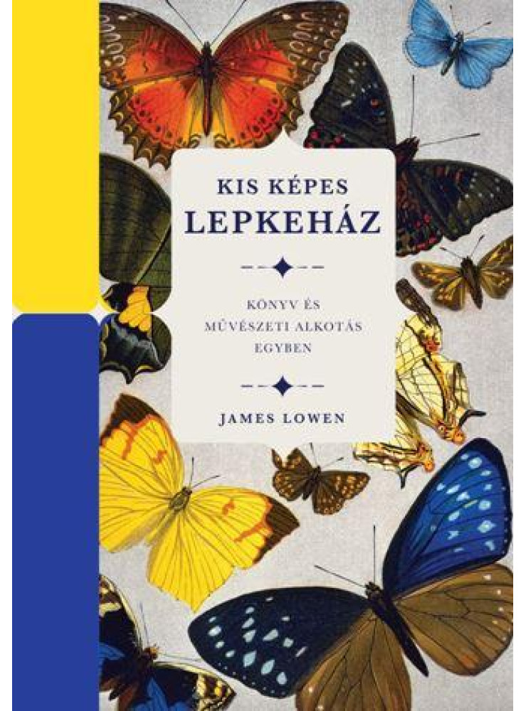 KIS KÉPES LEPKEHÁZ