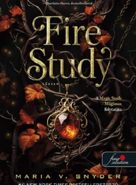 FIRE STUDY  TŰZTAN