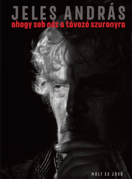 AHOGY SEB NÉZ A TÁVOZÓ SZURONYRA