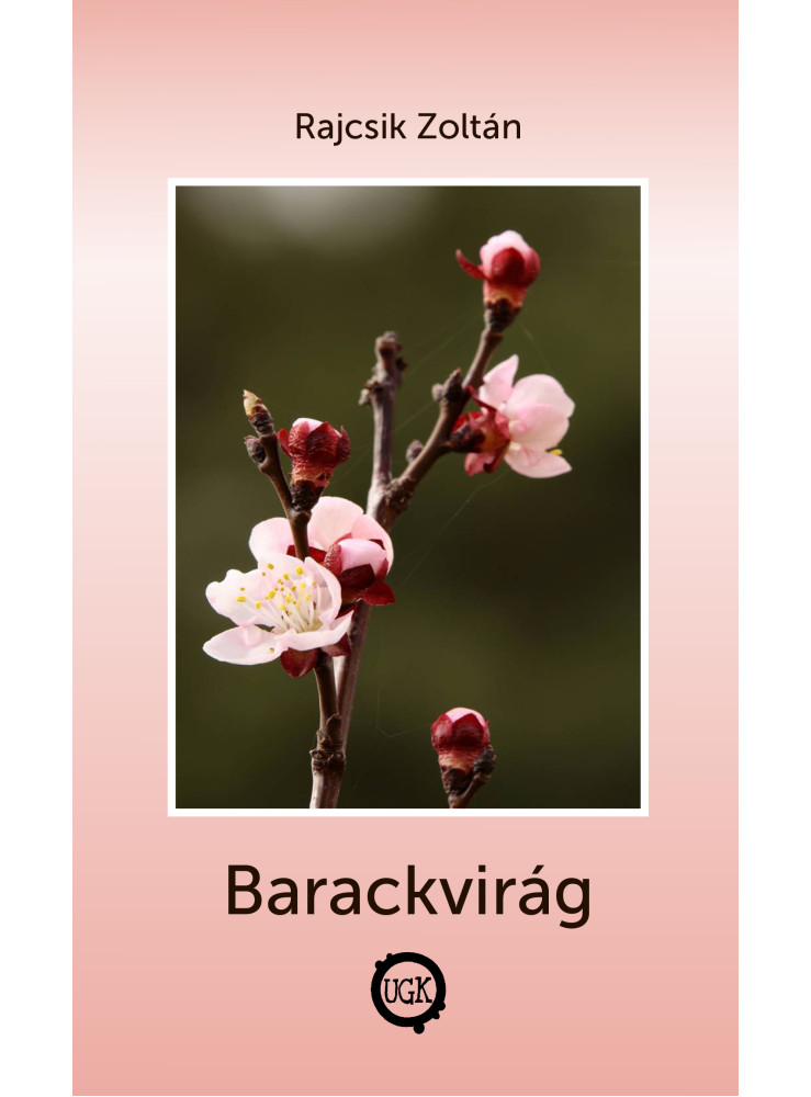 Barackvirág Barackvirág