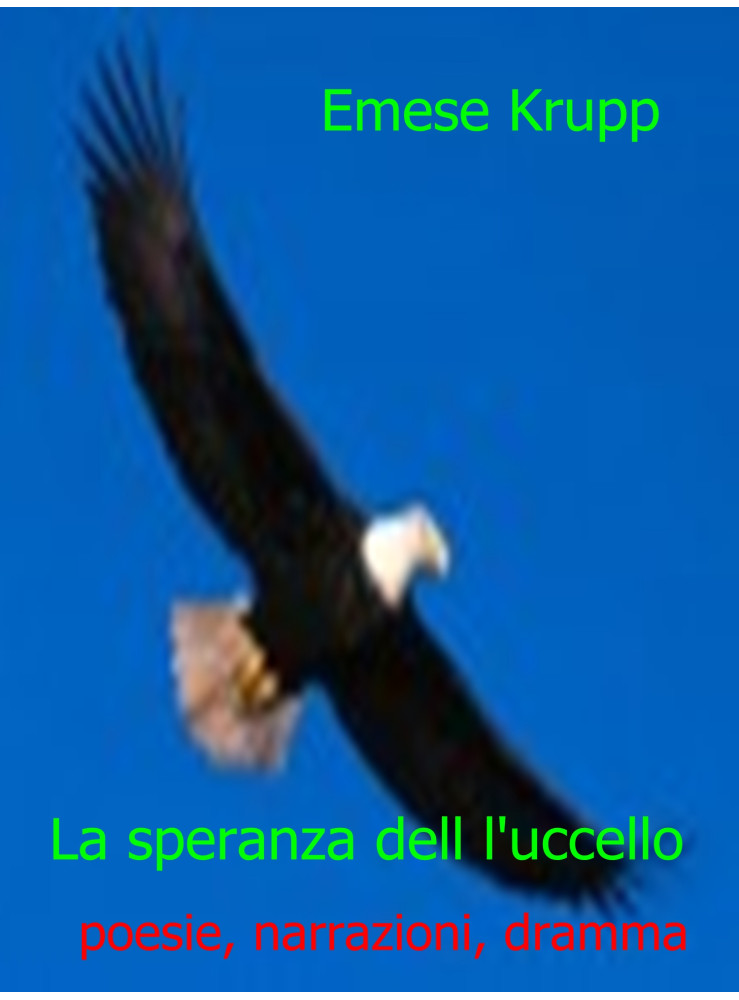 La speranza dell l'uccello (ekönyv)