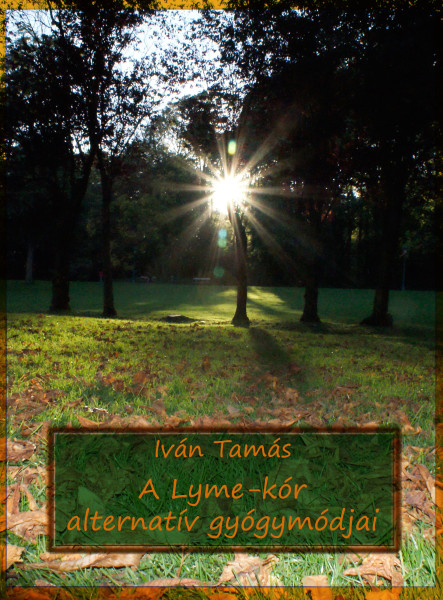 A Lyme-kór alternatív gyógymódjai (Második kiadás) (ekönyv)