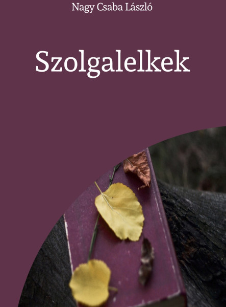 Szolgalelkek (ekönyv)
