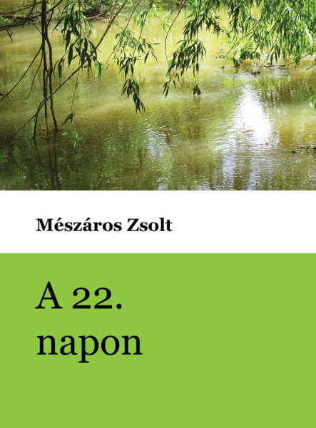 A 22. napon (ekönyv)