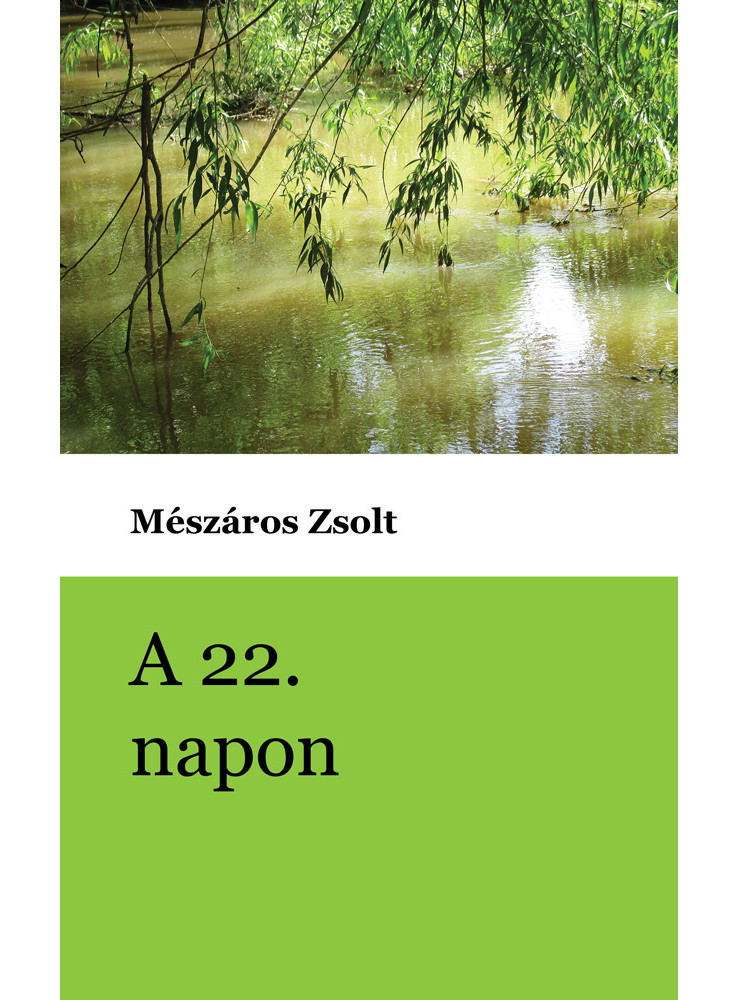 A 22. napon (ekönyv) A 22. napon (ekönyv)