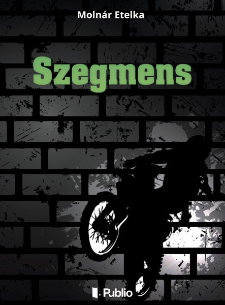 Szegmens (ekönyv)