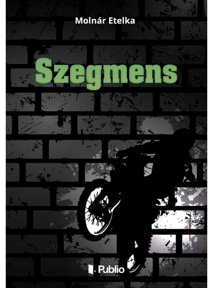 Szegmens (ekönyv)