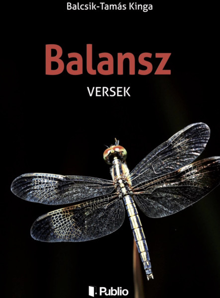 Balansz (ekönyv)