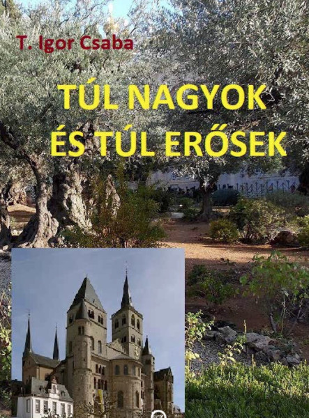 Túl nagyok és túl erősek  (ekönyv)