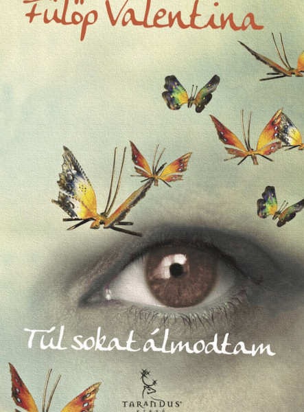 Túl sokat álmodtam  (ekönyv)