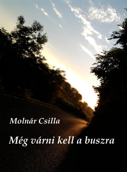Még várni kell a buszra (ekönyv)