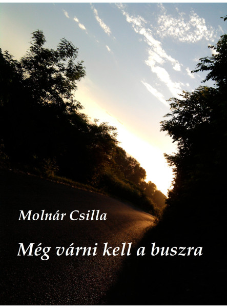 Még várni kell a buszra (ekönyv)