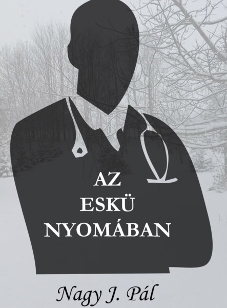 Az eskü nyomában (ekönyv)