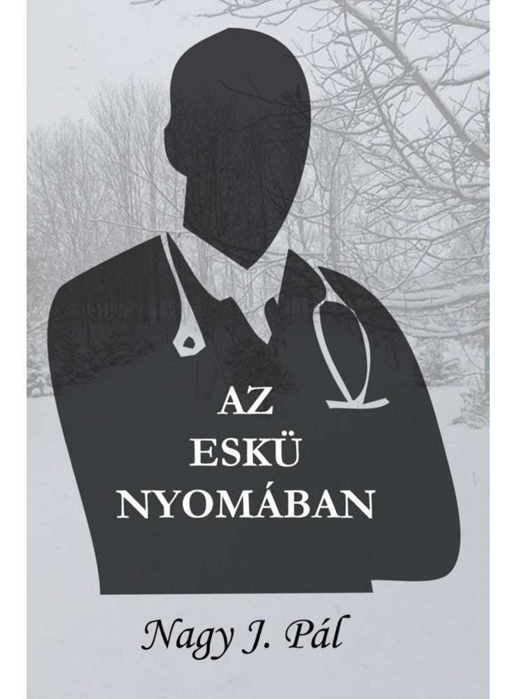 Az eskü nyomában (ekönyv)