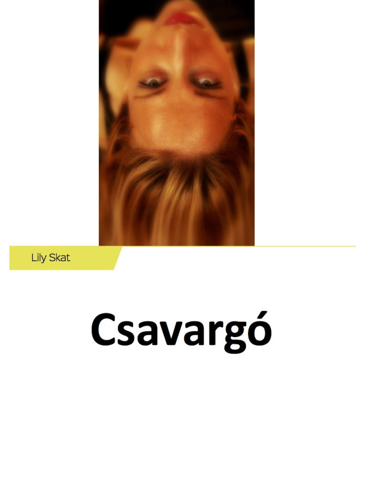 Csavargó (ekönyv) Csavargó (ekönyv)