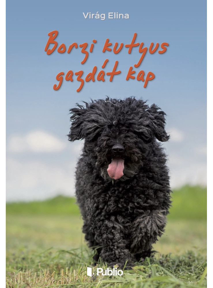 Borzi kutyus gazdát kap (ekönyv)