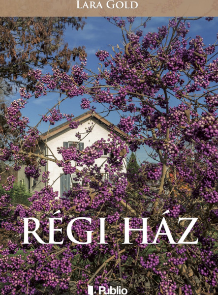 Régi ház (ekönyv)