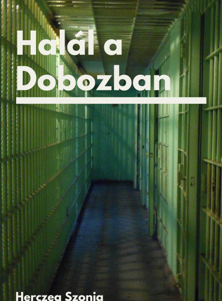 Halál a Dobozban  (ekönyv)