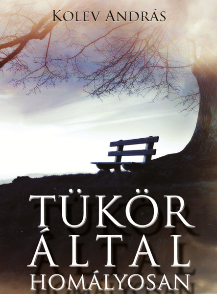 Tükör által homályosan (ekönyv)