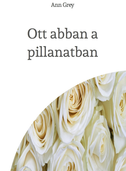 Ott abban a pillanatban (ekönyv)