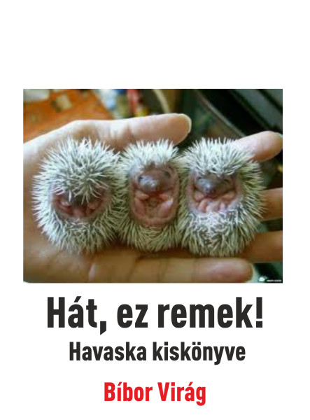 Hát ez remek (ekönyv)