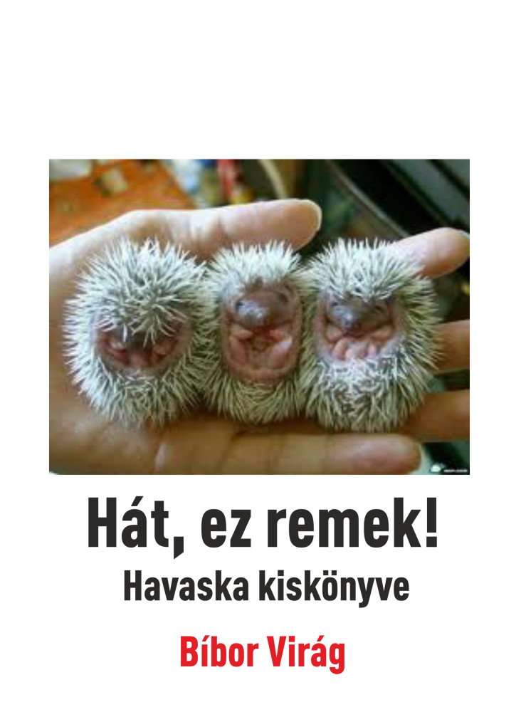 Hát ez remek (ekönyv) Hát ez remek (ekönyv)