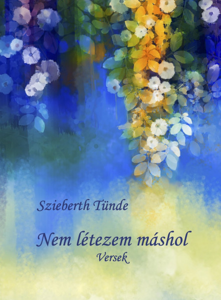 Nem létezem máshol (ekönyv)