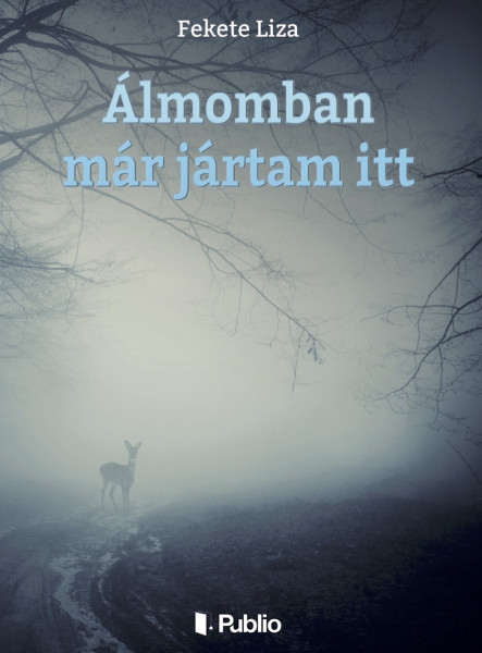 Álmomban már jártam itt (ekönyv)