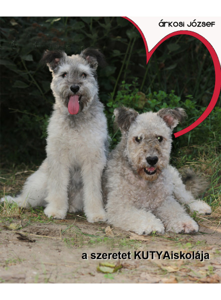 A szeretet KUTYAiskolája (ekönyv)