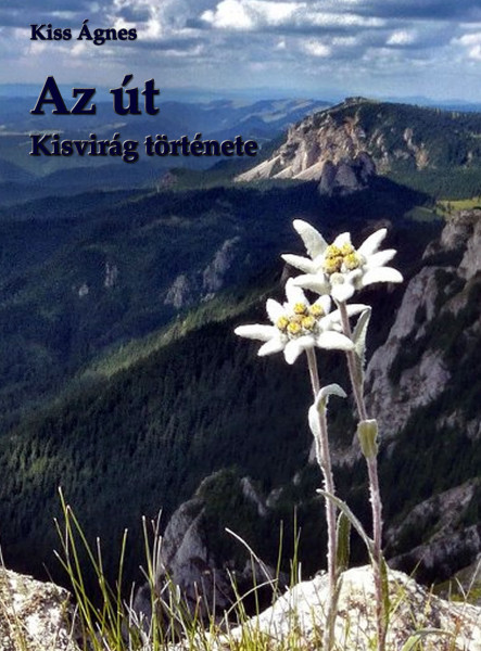 Az út (ekönyv)