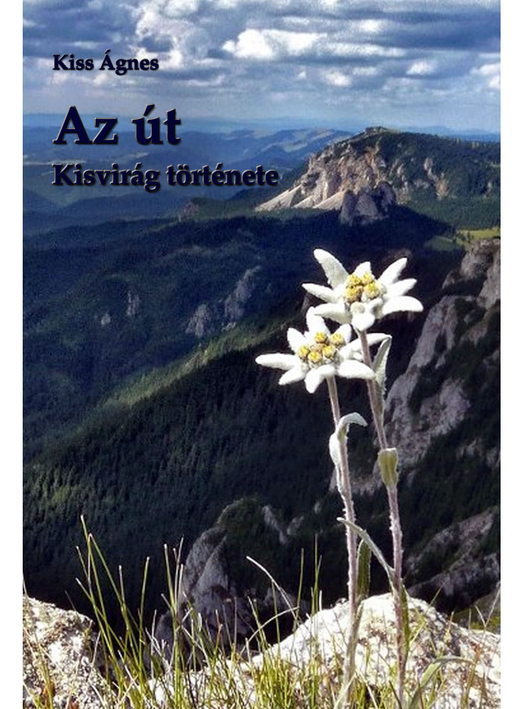 Az út (ekönyv)