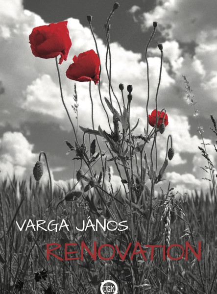 Renovation