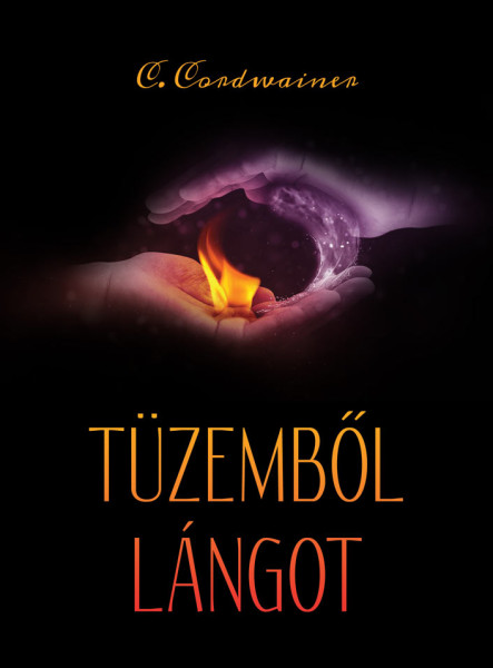 Tüzemből lángot (ekönyv)