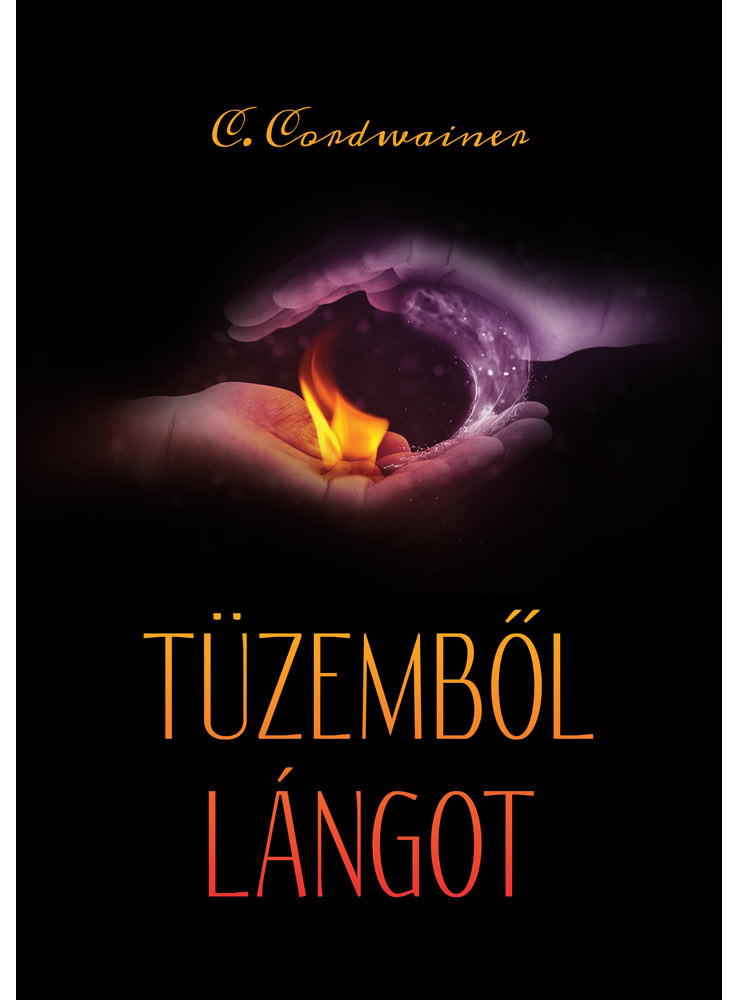 Tüzemből lángot (ekönyv)
