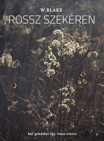Rossz szekéren (ekönyv)