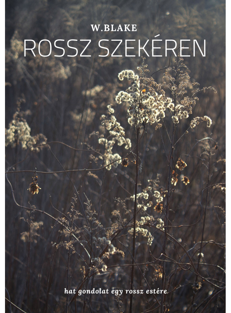Rossz szekéren (ekönyv)