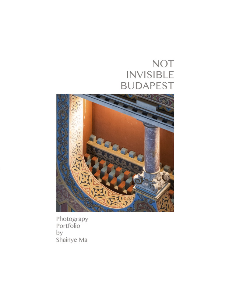 NOT INVISIBLE BUDAPEST