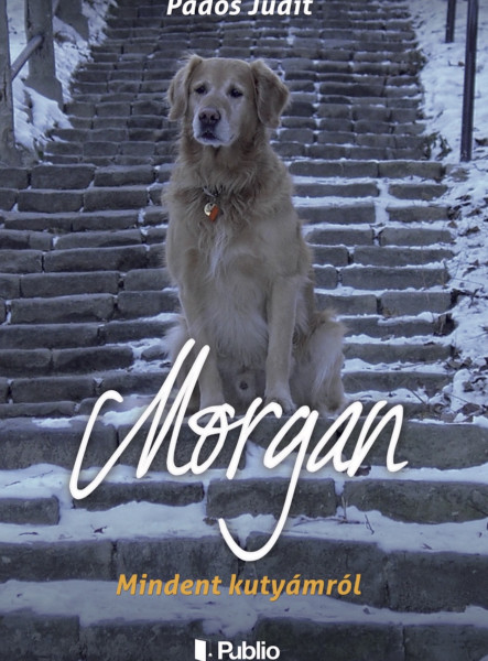 MORGAN (ekönyv)