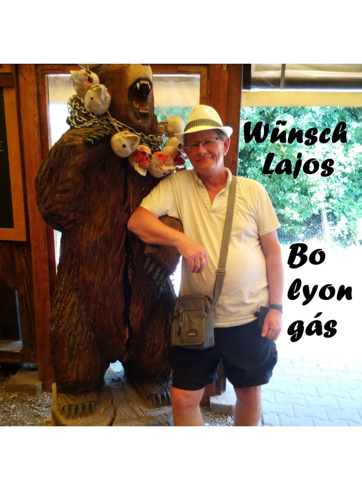 Bolyongás (ekönyv)