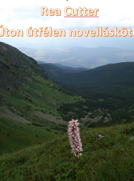 Úton útfélen (ekönyv)